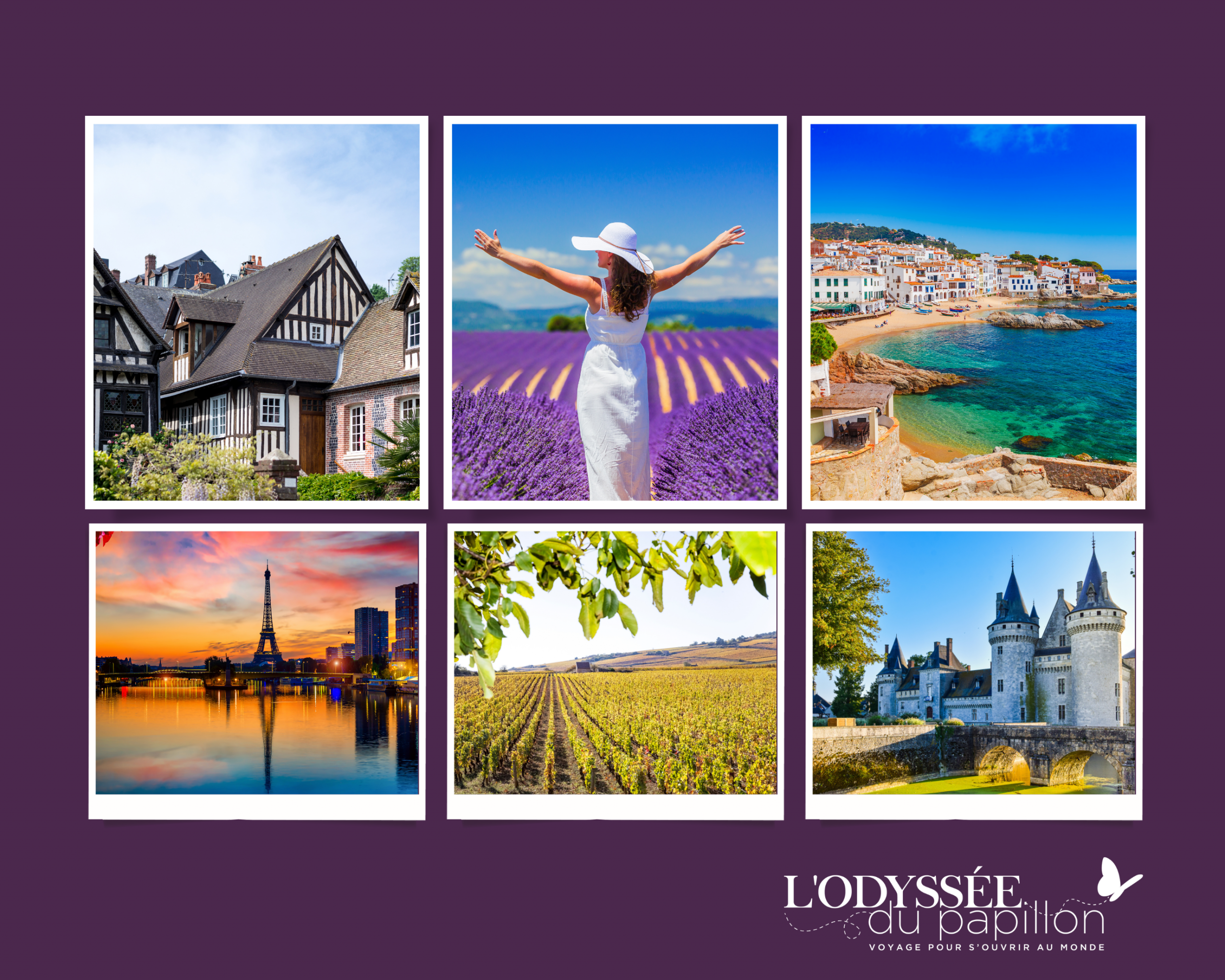 IBCPC 2026 LODYSSEE DU PAPILLON