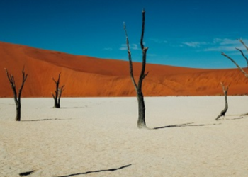 Explorez la culture et la nature sauvage de la Namibie avec le Programme Namibie de l'Odyssée du Papillon.