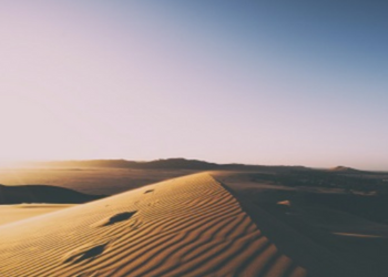 Explorez la culture et la nature sauvage de la Namibie avec le Programme Namibie de l'Odyssée du Papillon.