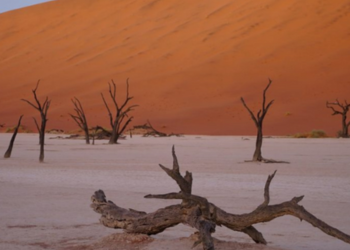 Explorez la culture et la nature sauvage de la Namibie avec le Programme Namibie de l'Odyssée du Papillon.