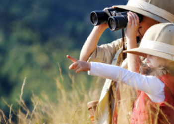 Explorez la culture et la nature sauvage de la Namibie avec le Programme Namibie de l'Odyssée du Papillon.
