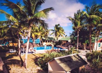 Comparaison entre la haute saison et la basse saison aux Bahamas - Odysée du Papillon