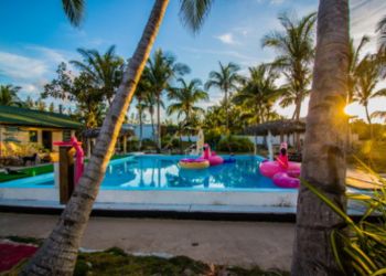 Piscine entourée de cocotiers dans un cadre tropical aux Bahamas.