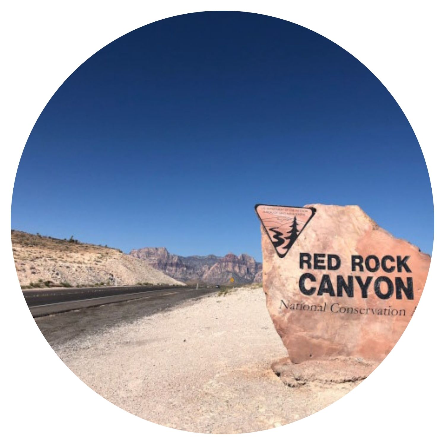 Chemin sinueux à travers un paysage sauvage de Californie, avec un rocher marquant la direction à suivre, idéal pour une aventure en famille.