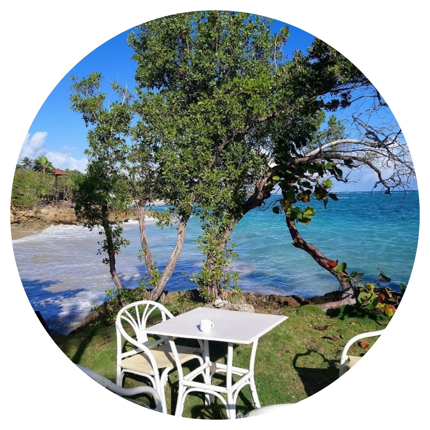 Explorez Cuba sur mesure avec l'avis de Christian C pour une expérience inoubliable. Découvrez des jardins pittoresques offrant une vue spectaculaire sur la mer, où le calme des vagues se mêle à l'intimité d'un petit goûter en couple. Un cadre romantique idéal pour créer des souvenirs inoubliables.