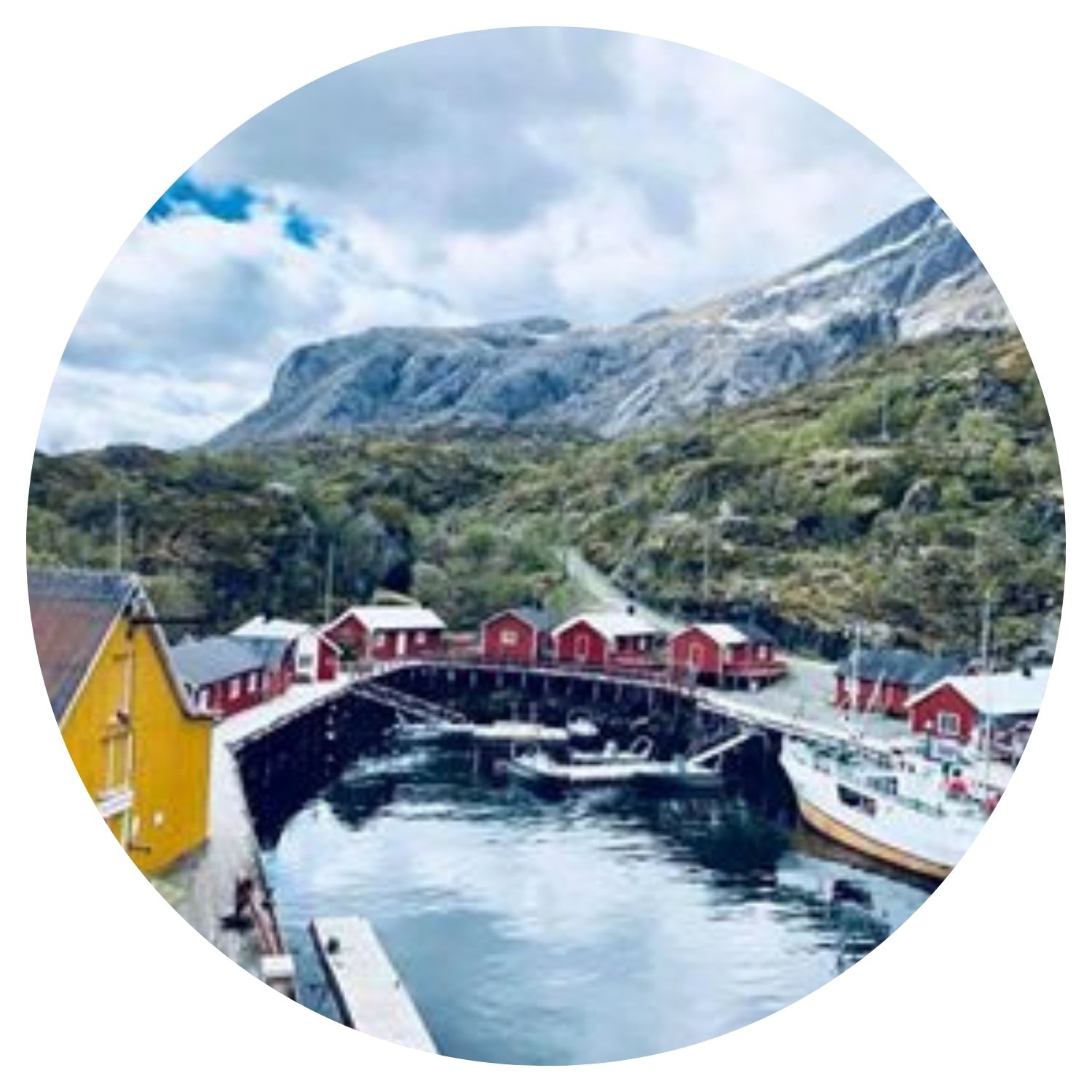 Un alignement de maisons pittoresques en Norvège se reflète dans un grand lac situé au cœur de la ville, avec des montagnes majestueuses en arrière-plan. La scène illustre la beauté naturelle et architecturale de la région.