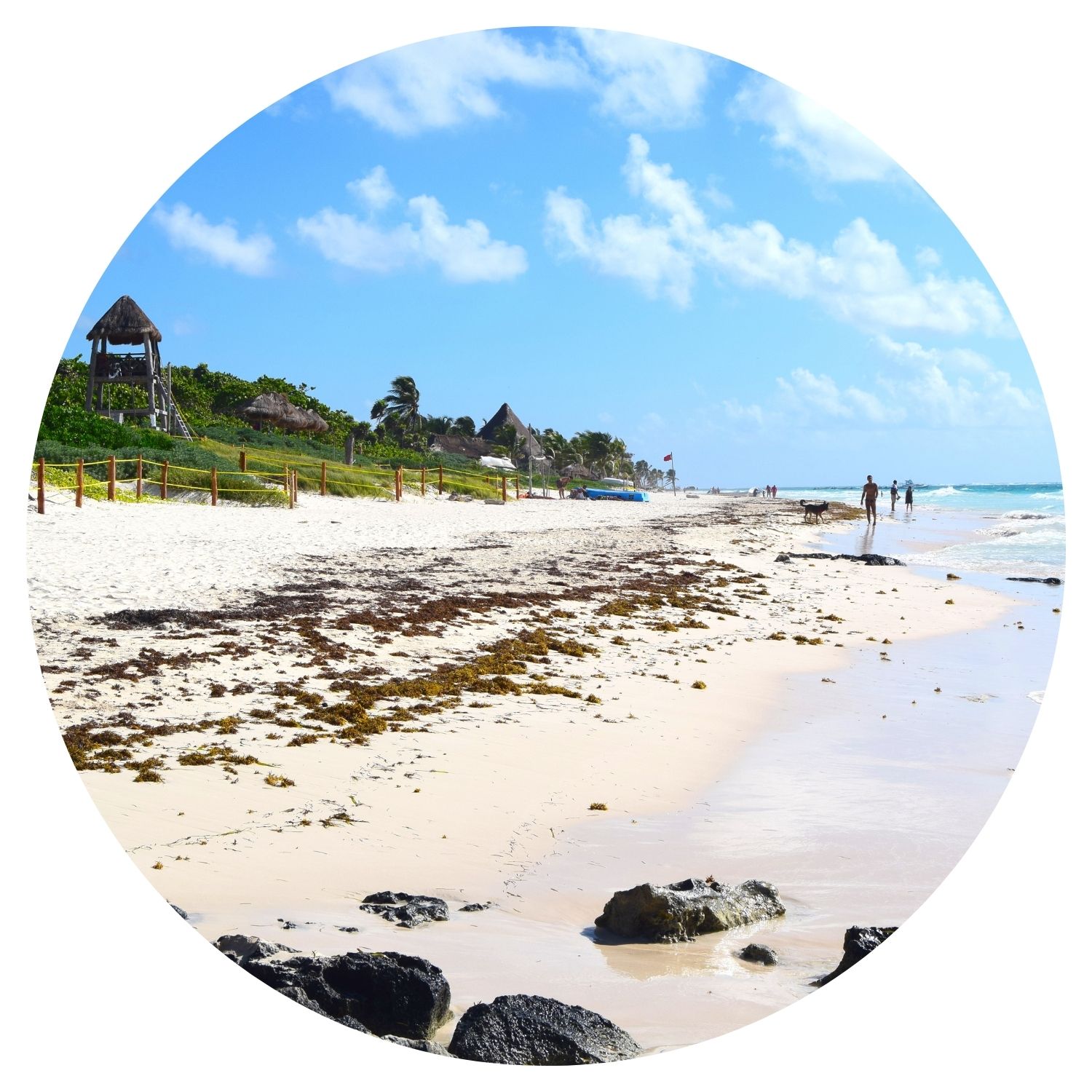 Voyage sur mesure au Yucatan, Mexique avec l'avis de Mr et Mme Boino, capturé lors d'une vue paradisiaque au bord de la mer.