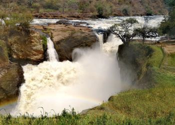 Chutes de Murchison en Ouganda - Spectacle naturel puissant et émotions fortes