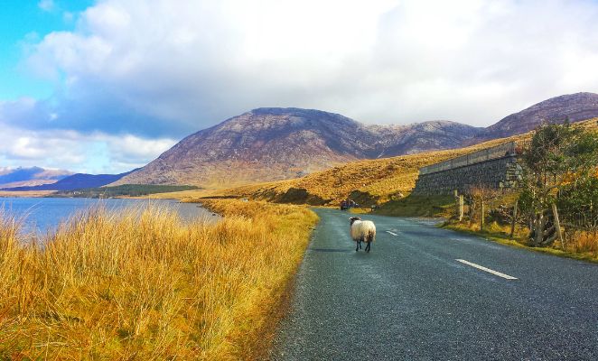 Voyage famille, Wild Atlantic Way, Irlande