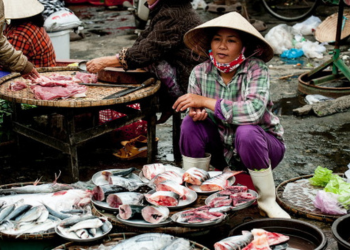 Découvrez la richesse culturelle du Vietnam lors du Voyage Vietnam 2024 avec l'Odyssée du Papillon.