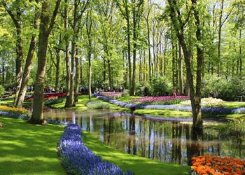Parc floral avec rivière à Amsterdam - Odysée du Papillon