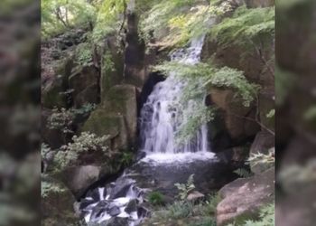 Découvrez les incontournables du Japon avec Odysée du Papillon