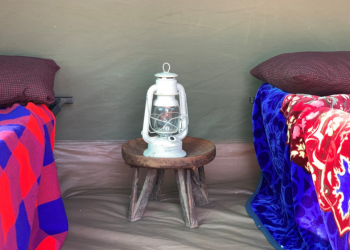 Voyagez au cœur de la culture Maasaï lors du Voyage Maasaï avec l'Odyssée du Papillon.