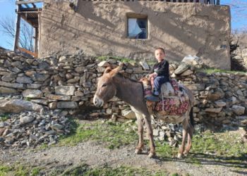 "Découvrez la beauté de l'Ouzbékistan avec Odyssée du Papillon - Voyage Ouzbékistan