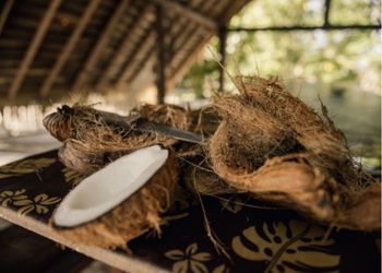 Noix de coco ouvertes et outils traditionnels polynésiens sous un abri de paille