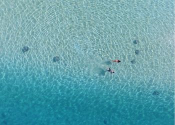 Vue aérienne de kayaks dans les eaux cristallines d'un lagon polynésien