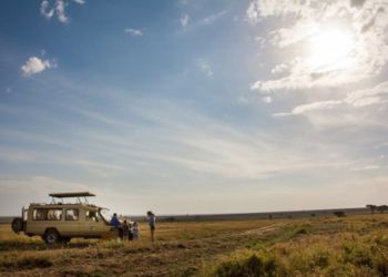 Safari en jeep dans la savane tanzanienne