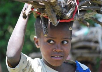 Enfant tanzanien portant du bois sur sa tête