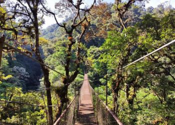 Panama 100% féminin