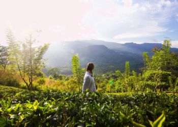 Une femme debout dans la nature, contemplant l'horizon montagneux au lever du soleil, entourée de verdure luxuriante.