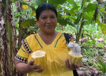 Panama 100% féminin