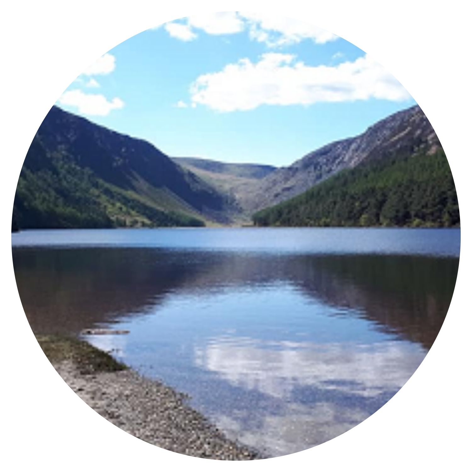 Un paysage serein en Irlande avec une rivière calme entourée d'une forêt sauvage au petit matin, offrant une scène paisible et apaisante dans la nature.