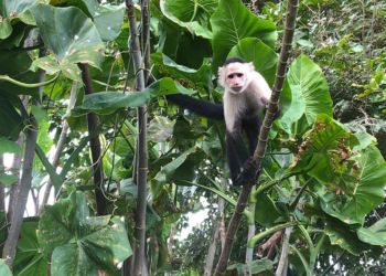 Voyage Panama Famille