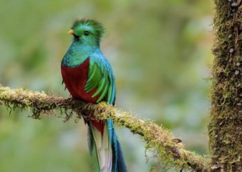 Voyage Panama Famille