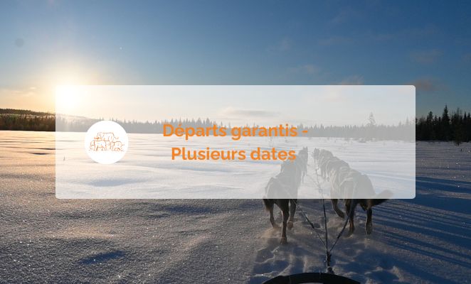 Voyage famille, dans les traces des mushers, Finlande