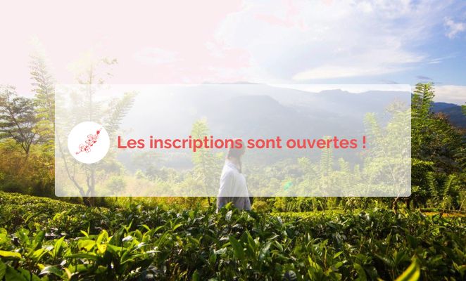 Rejoignez un petit groupe de voyageuses au Sri Lanka et découvrez des paysages époustouflants au lever du soleil.