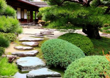 Explorez le Japon en bonne compagnie avec Odyssée du Papillon