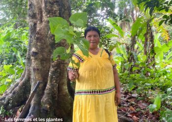 Les femmes indigenes