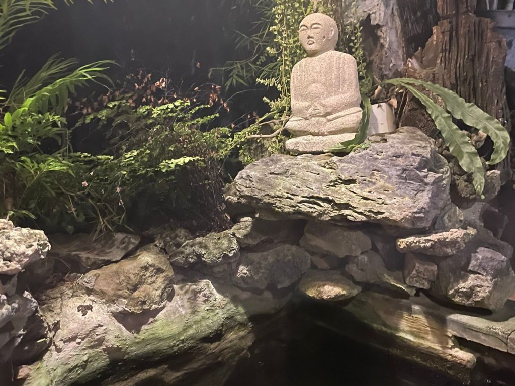 Voyage 100% féminin - Bali spirit