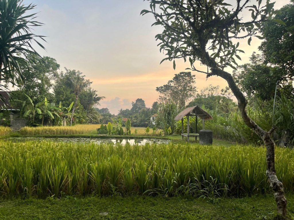 Voyage 100% féminin - Bali spirit