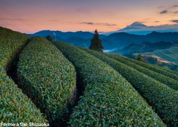 Voyage expérientiel 100% féminin