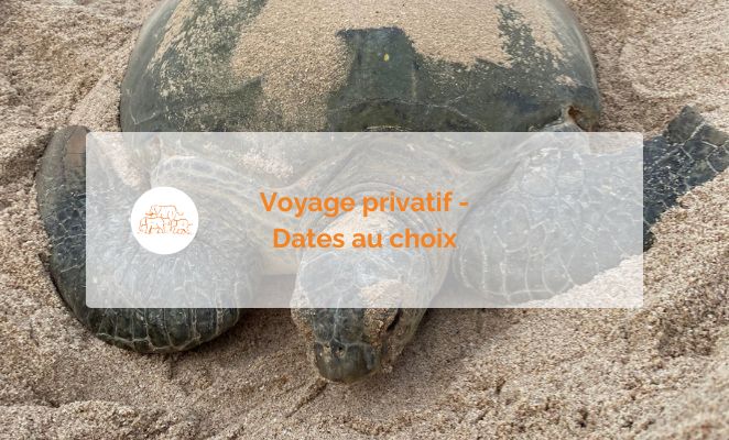 Voyage famille, Autotour, Oman