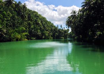 la rivière Loboc